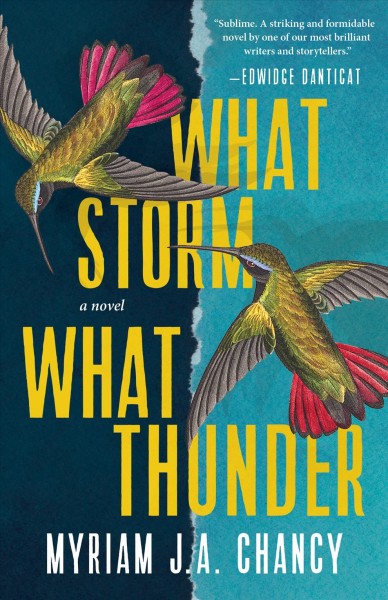 What storm, what thunder : a novel / Myriam J.A. Chancy.