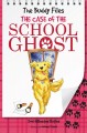The case of the school ghost Cover Image