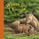 Where do I sleep? : a Pacific Northwest lullaby  Cover Image