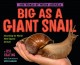 Go to record Big as a giant snail : discovering the world's most gigant...