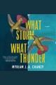 What storm, what thunder  Cover Image