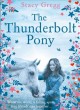 The thunderbolt pony  Cover Image